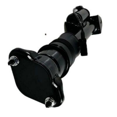 2513201831 Rear Airmatic Air Suspension Struts With ADS For Mercedes Benz W251 photo-2