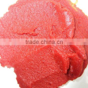 brix 36-38% tomato paste 2010 crop