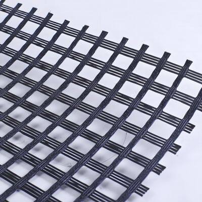 HDPE Reinforced Plastic PP Fiberglass Geogrid for Asphalt & Civil Engineering Basalt Glass Fiber Mesh at Competitive Price