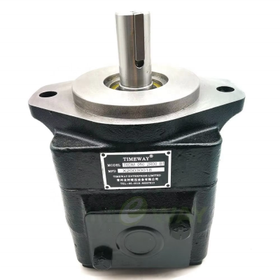 TIMEWAY T6DM Hydraulic Vane Pump T6DM-050-2R00-B1 High Pressure Single Oil Pump Fixed Displacement Industrial Pump