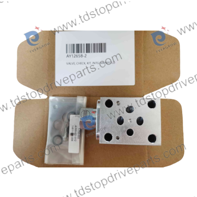 Canrig Top Drive Spare Parts AY12658-2 Valve Check Kit INTG Manifold For Oil and Gas Drilling