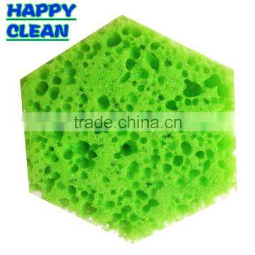 Vacuum Packing Pengaton Filter Sponge Brush photo-3