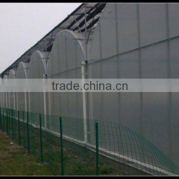 Good Quality Steel Tube Greenhouse photo-3