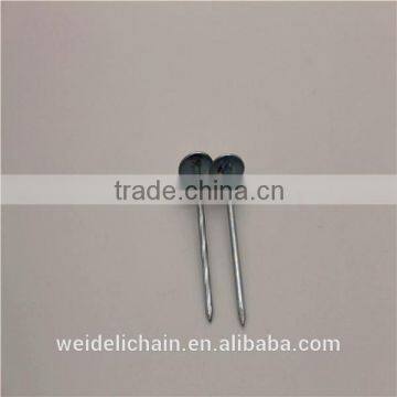 Factory Competitive Price Umbrella Head Roofing Nails photo-6