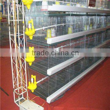 poultry hen shed/ baby chick cage/broiler chicken coop/battery chicken house