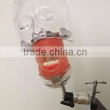 dental dummy head & Oral Cover Water Drainage & Mount for school