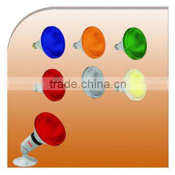 PAR38 LED Bulb