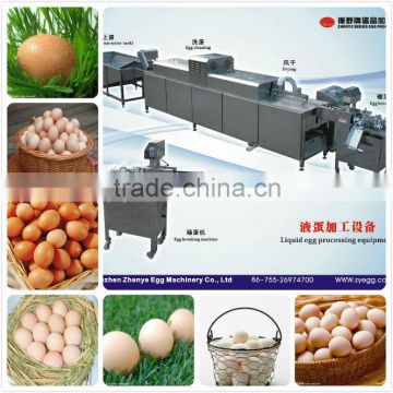 304 SUS stainless steel 3000pcs/h egg breaking/cracking machine 008613823737025