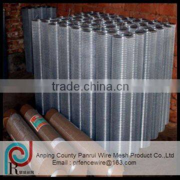 panrui supply galvanized welded wire mesh,welded mesh fence in roll,bird cage,manufacturer,supplier