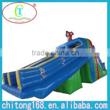 Giant Inflatable Swimming Pool Slides For Sale photo-5