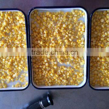 400g whole kernel sweet corn in can