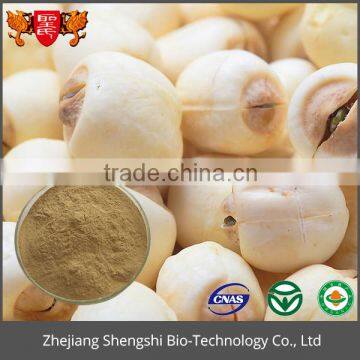 Optimal Level Lotus Seed Semen Nelumbinis Extract Powder photo-3