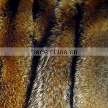 Real Raccoon Dog Skin