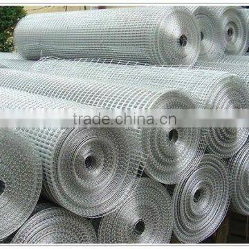 Galvanized welded wire mesh(factory)