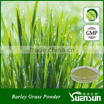 GMP Factory hot sell wheat grass powder