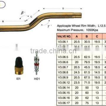 Truck Tube Valve