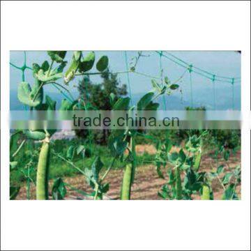 High quality green color climbing plant support net