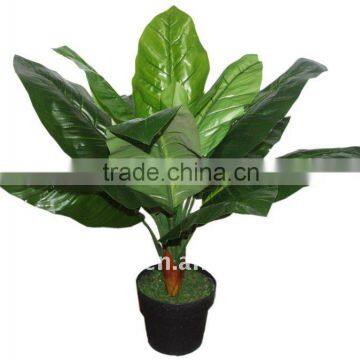 Artificial Dieffenbachia