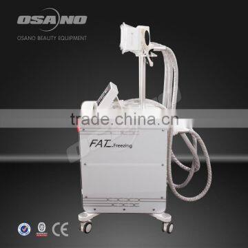 Criolipolise Weight Loss Beauty Slimming Instrument For Sale photo-2