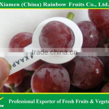 Sweet Fresh Grapes from yunnan China