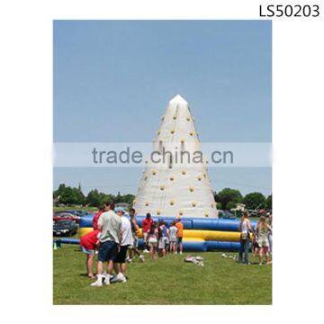 Good Quality Inflatable Rock Climb Wall