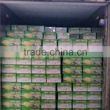 Fresh Pear 2016 Crop photo-6