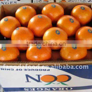 chinese fresh new navel orange