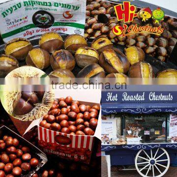 New Crop Fresh Chestnuts--Dandong Chestnuts in Big Size photo-3
