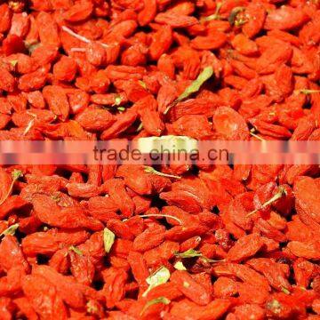 2016 New Year Raw New Lycium Barbarum/dried Goji Berry for Sale photo-2