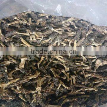 Black Morel Mushroom Market Price Dried Morel Mushroom Magic Mushrooms Dried photo-3