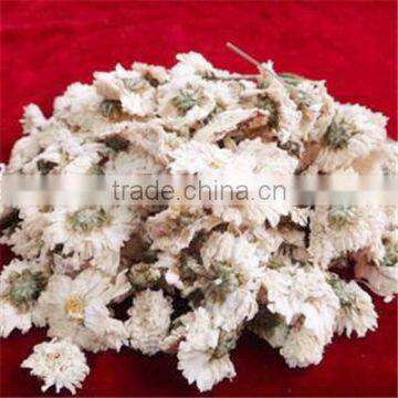 2015 Chinese Whellote Chrysanthemum
