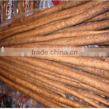 Supply Burdock Root P.E.