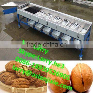 nut size sorting machine/walnut size grader/walnut size sorter