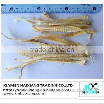 Pet food-dried blue whiting strip