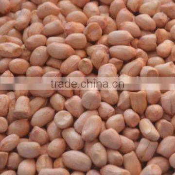 peanuts for coated