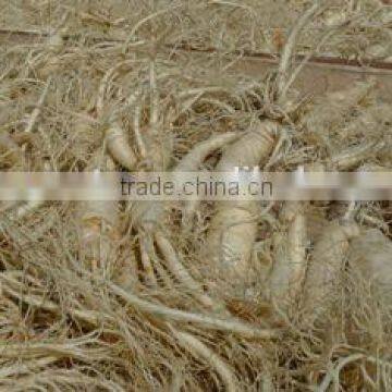 White Ginseng Root Powder photo-3
