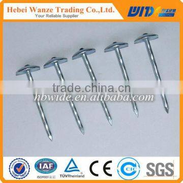 China high quality umbrella head roofing nail / polished common nails / concrete nail for factory