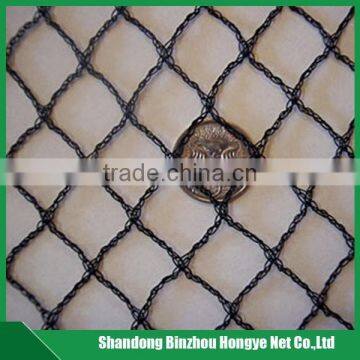 anti bird nets/anti-bird protection nets/anti animal nets made in china for export