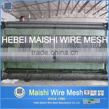 1inch Opening Galvanized Hexagonal Wire Netting Factory photo-2