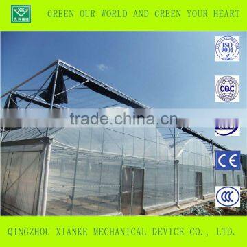 Low Price Prefabricated Multi Span Multi Function Greenhouse photo-3