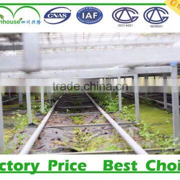 Low Cost Greenhouse Supplier photo-3