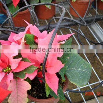 Irrigation System photo-4