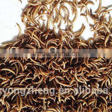 2.8 cm Chicken Feed Dried Mealworms;China Products Yellow Dired Mealworms