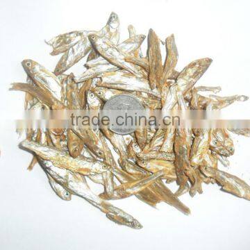 High quality and best price types of dried fish cat food