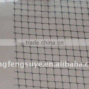 China High Quality Polyester Geogrid and Fiberglass Geogrid China Direct Factory photo-4