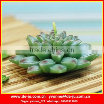 Green Plant Extraordinary Succulent Floating Birthday Candles