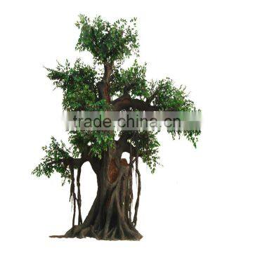 SJ20171884 Factory Ornamental Foliage Japanese Trees and Plants photo-2