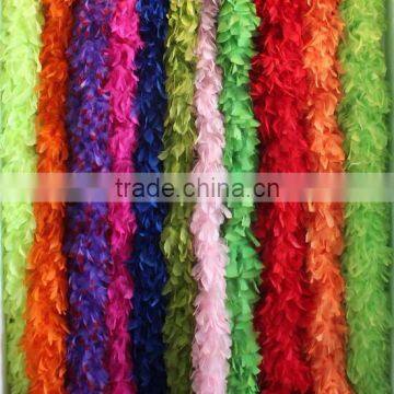 Cosplay Colorful Feather Wings photo-2