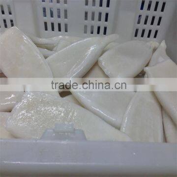 Pacific Squid Tube Frozen photo-5