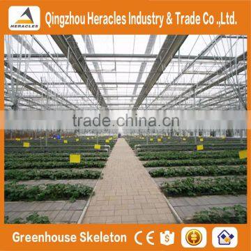 Heracles Trade Assurance Polycarbonate Sheet Greenhouse photo-6